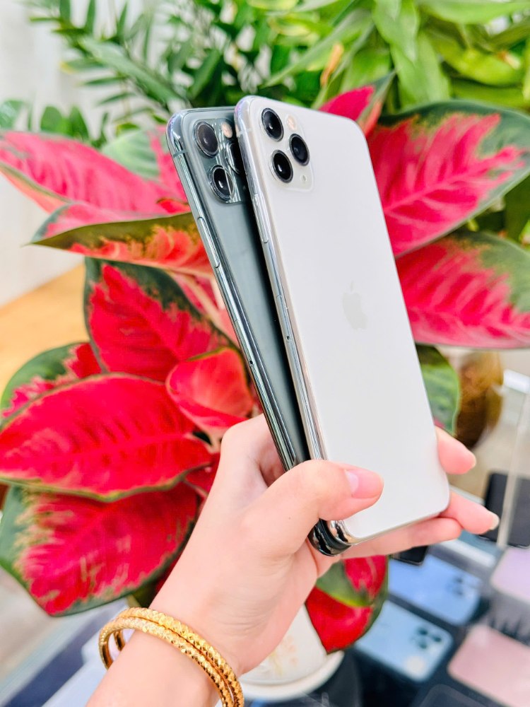 iPhone 11 Pro Max màu bạc với cụm 3 camera sau, được cầm trên tay trước nền hoa đỏ
