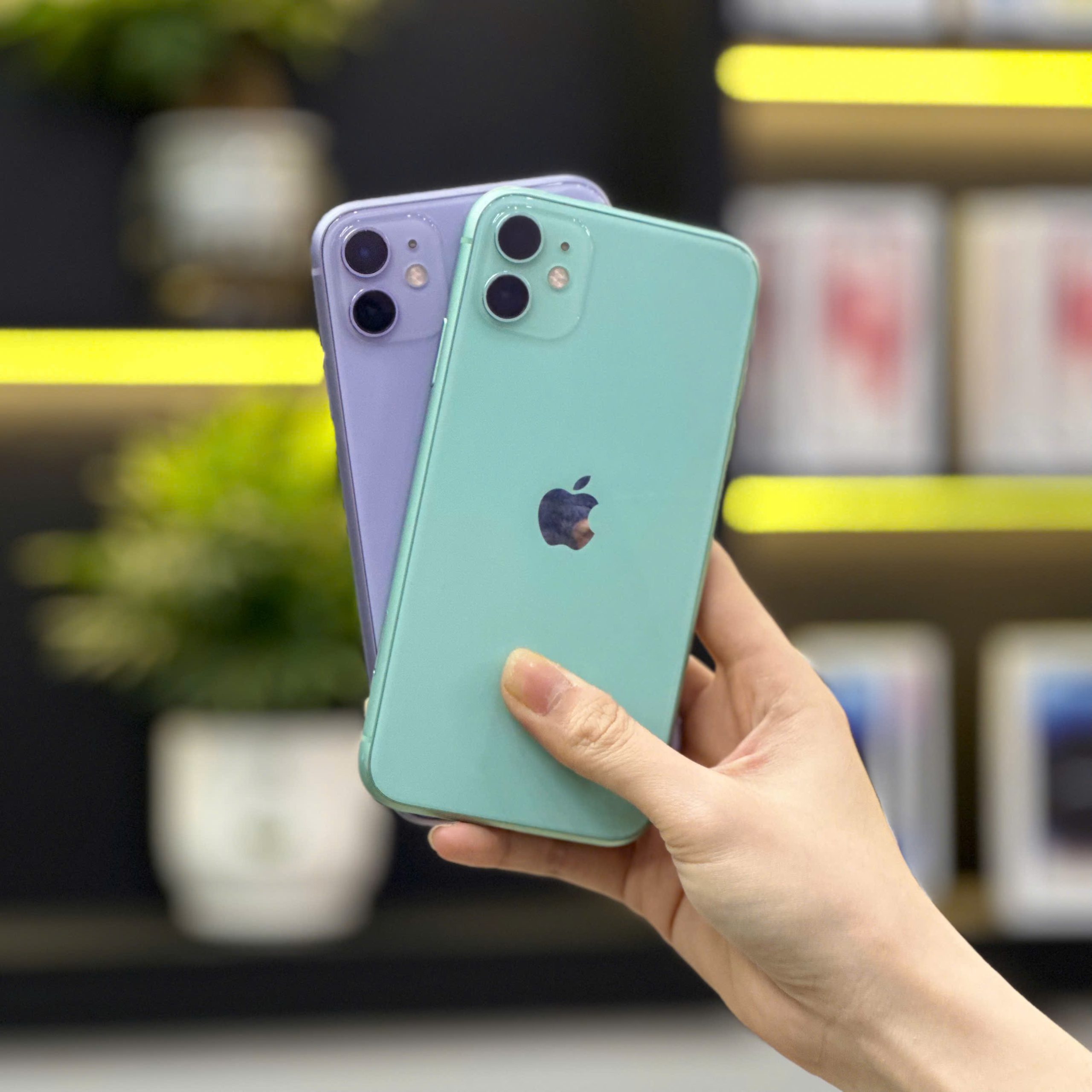 iPhone 11 tại Táo 247 đầu đủ mẫu mã đa dạng