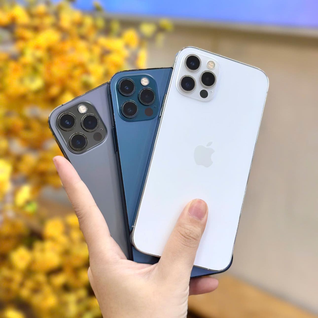 iPhone 12 Pro đầy đủ mẫu mã đa dạng tại Táo 247