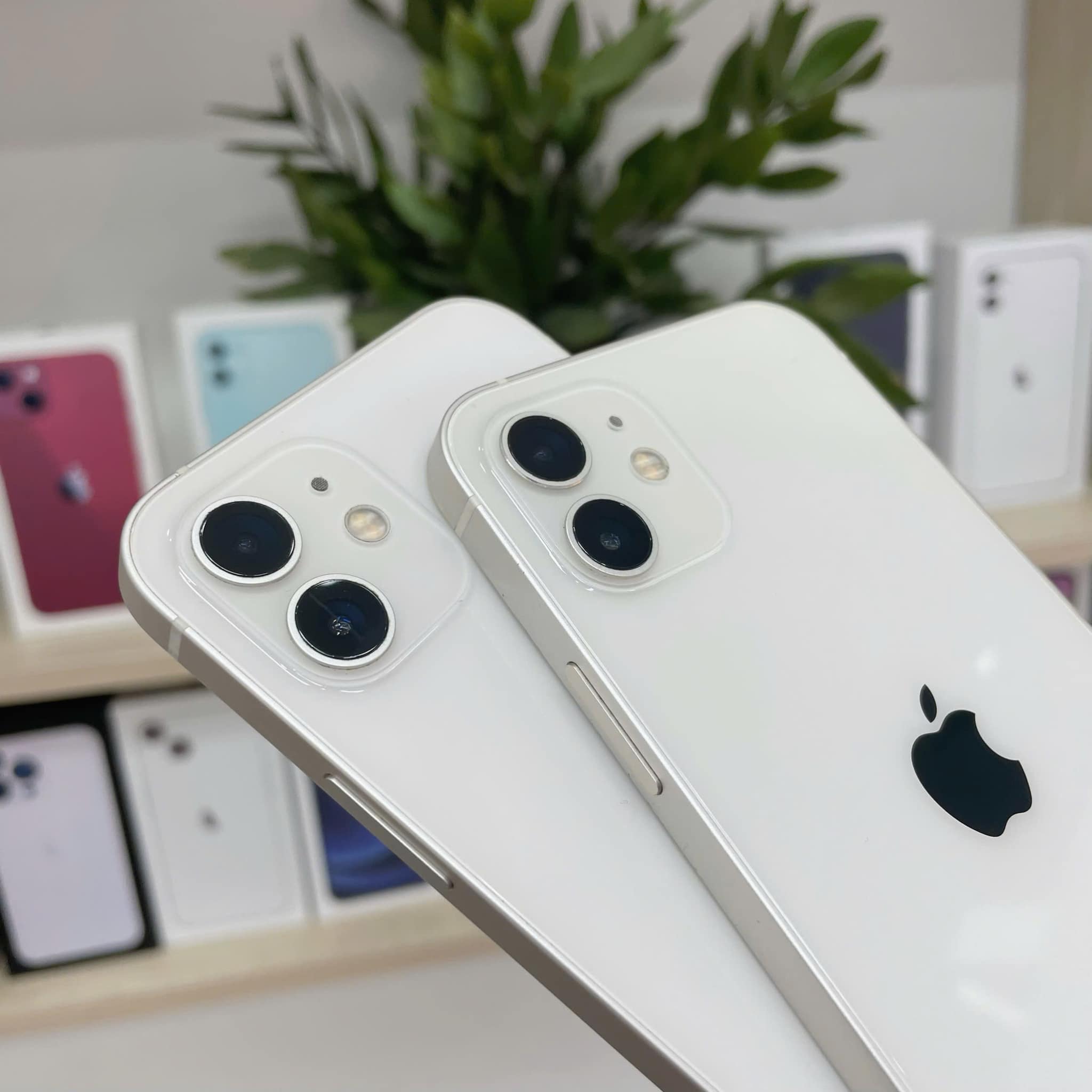 Táo 247 luôn chọn lọc ra các mẫu iPhone 12 trắng tinh khôi siêu đẹp để phục vụ khách hàng
