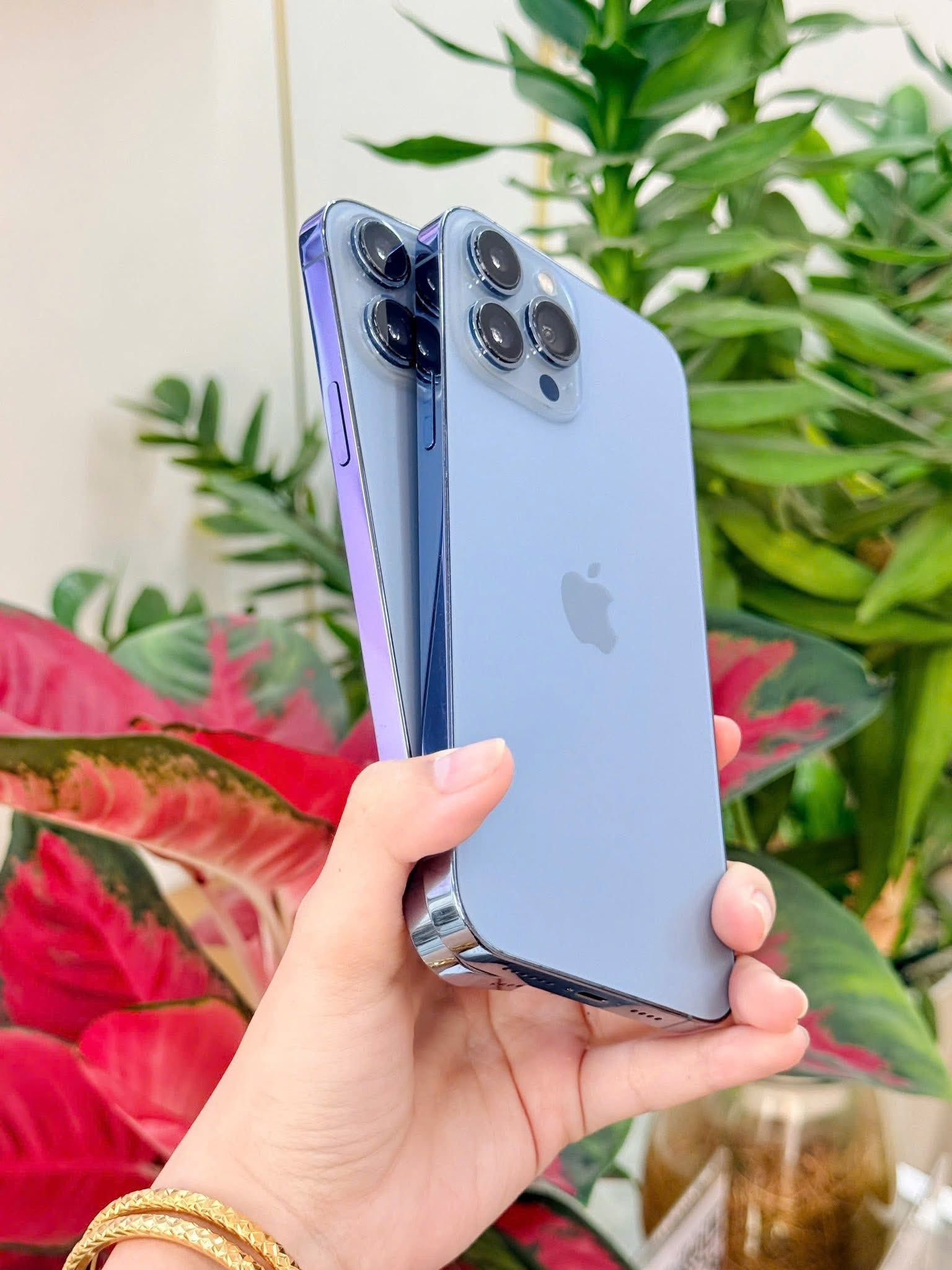 iPhone 13 Pro Max đầy đủ mẫu mã đa dạng tại Táo 247