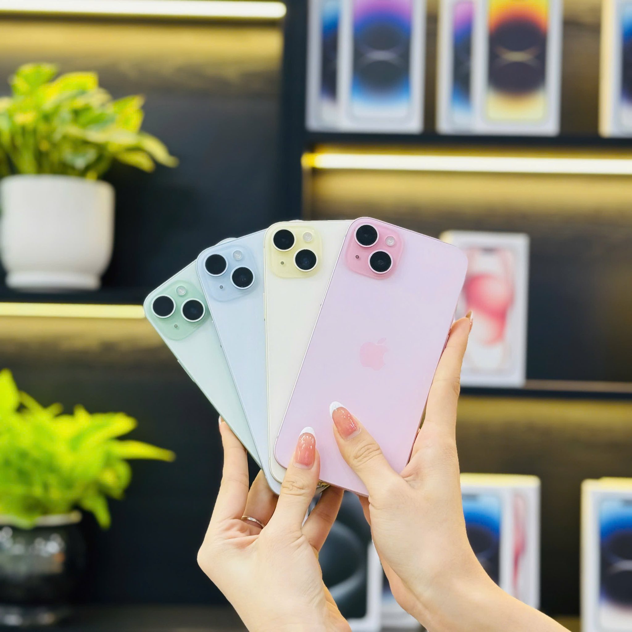 iPhone 15 Plus đầy đủ mẫu mã đa dạng tại Táo 247