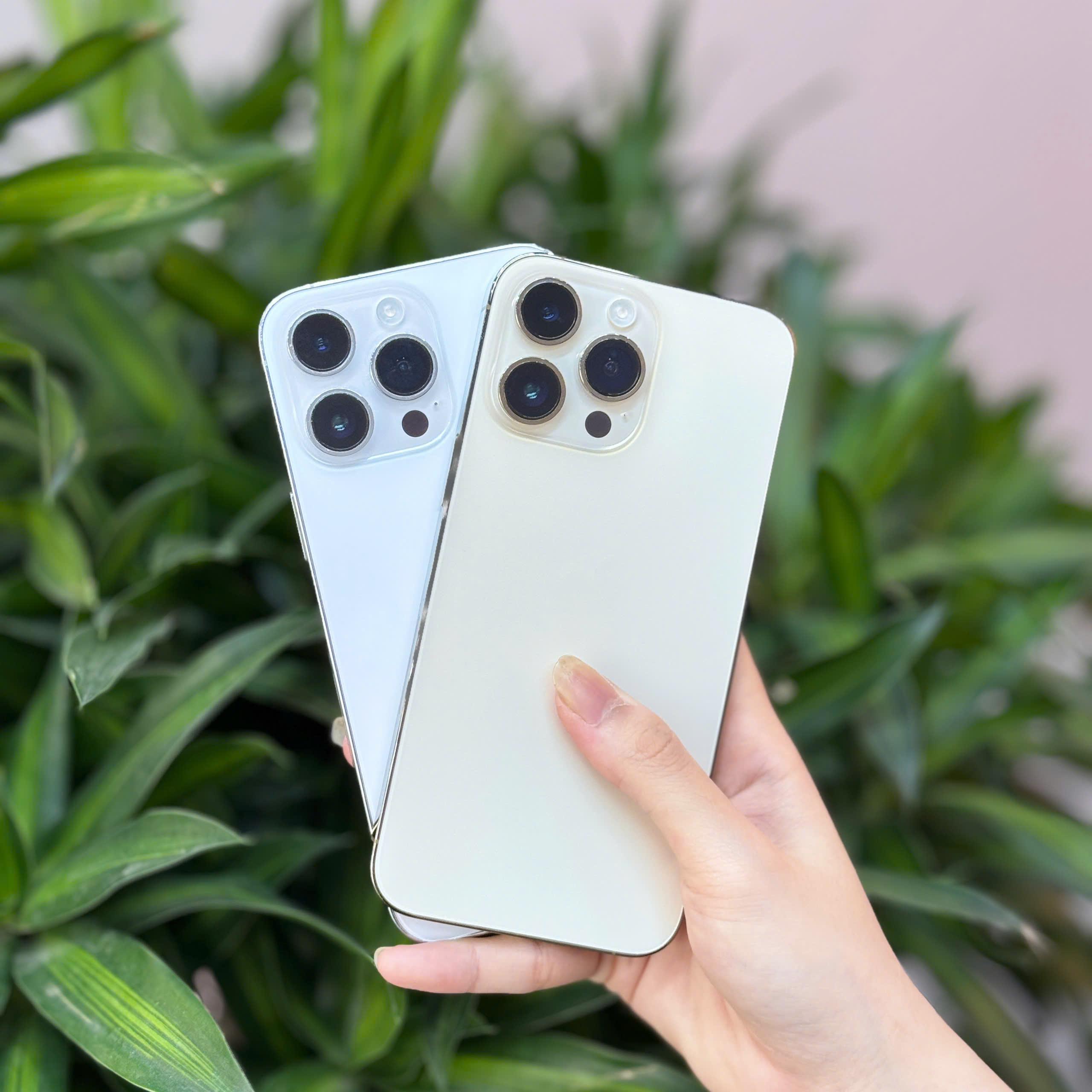 iPhone 14 Pro đầy đủ mẫu mã đa dạng tại Táo 247