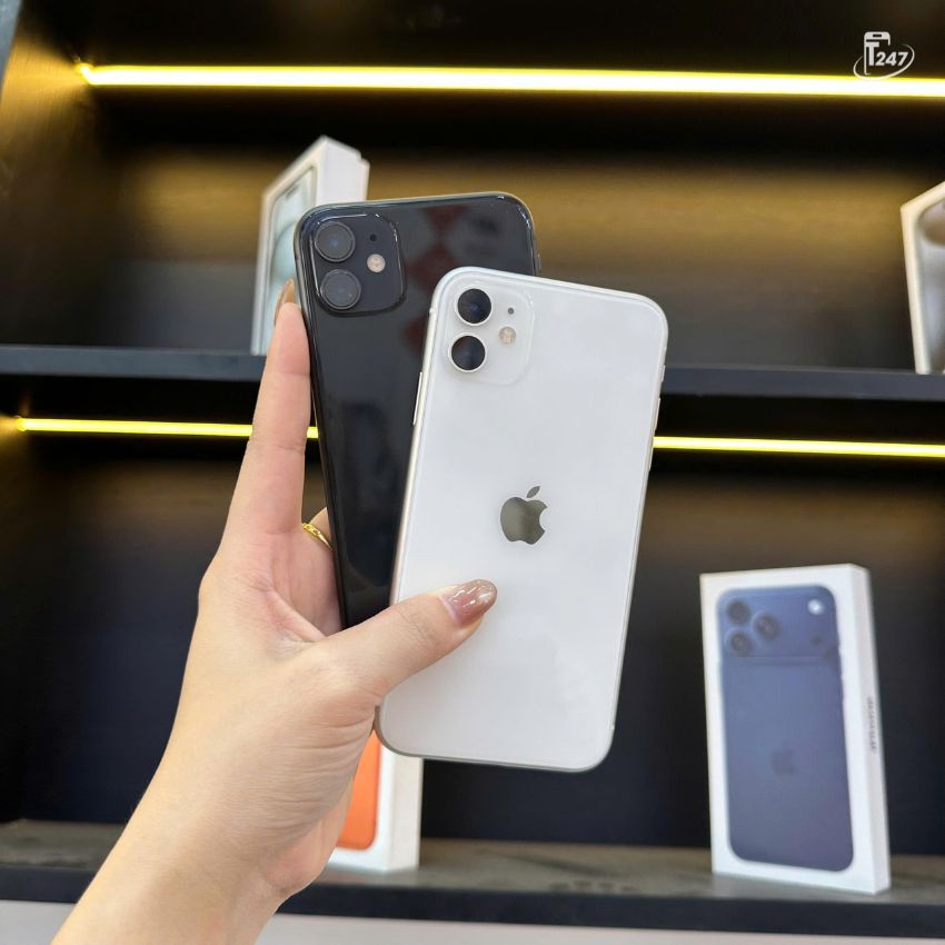 iPhone 11 tại Táo 247 đa dạng mẫu mã