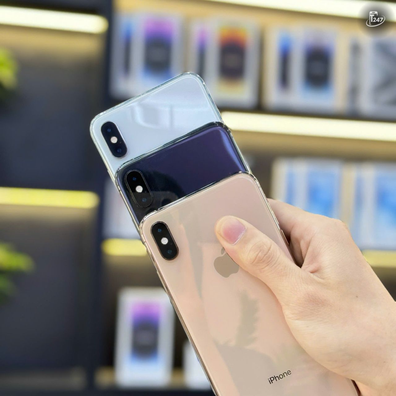 Sức hút của iPhone XS Max tại Đà Nẵng, từ màn hình lớn, hiệu năng ổn định đến camera chất lượng | Táo 247